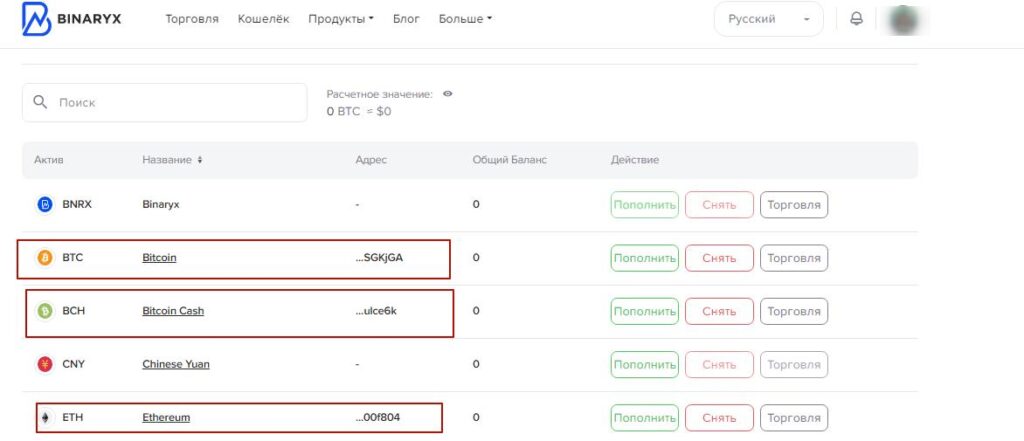 binaryx способы пополнения 