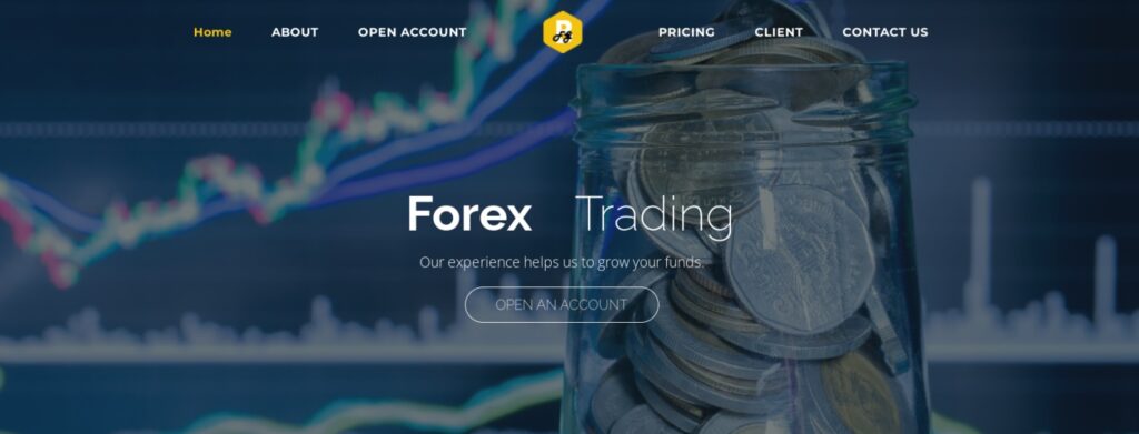 bit forex gobal сайт компании 