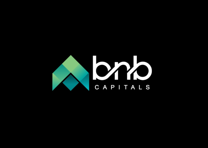 BNB Capitals правда про анонимный лохотрон: отзывы о компании