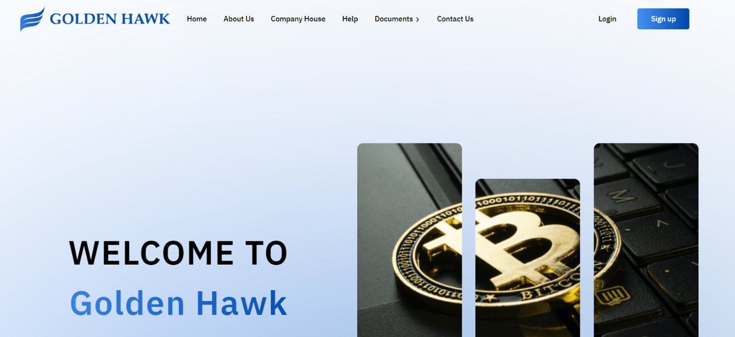 Обзор Goldenhawkgroup: как функционирует проект?